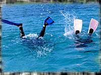 Next time, take your crash helmet off before going swimming, D!